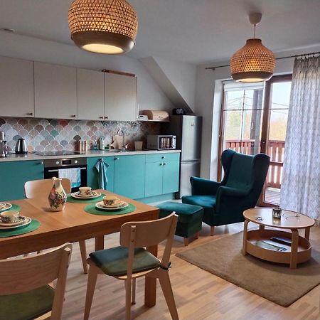 פודגוז'ין Uroczy Apartament U Mirki מראה חיצוני תמונה
